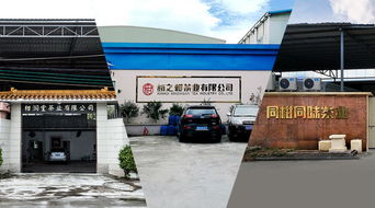 柑普茶在中部地區持續受捧,產品力成區域市場開拓的最有力武器